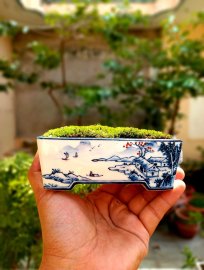 Vẽ tay mịn nét căng đét