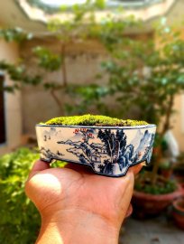 Vẽ tay mịn nét căng đét