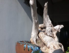 Em là Hồng Quân...