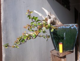 Em là Hồng Quân...