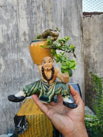 Hải châu sông cầu đỗ có quái khó tìm.