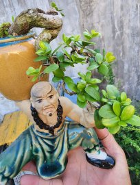 Hải châu sông cầu đỗ có quái khó tìm.