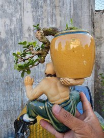 Hải châu sông cầu đỗ có quái khó tìm.