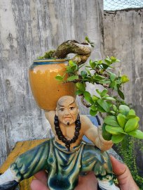 Hải châu sông cầu đỗ có quái khó tìm.