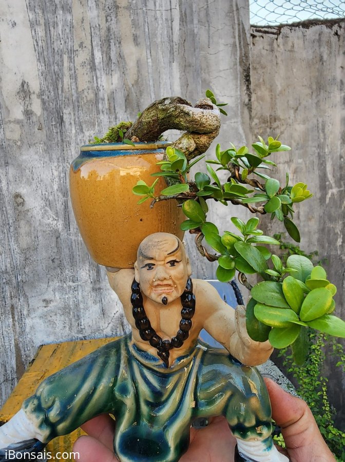 Hải châu sông cầu đỗ có quái khó tìm.