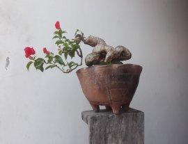 Em Bông Giấy ta ghép Đỏ Son...