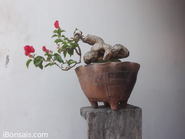 Em Bông Giấy ta ghép Đỏ Son...