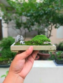Miniature mountains