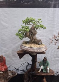 Lõa châu giao lưu