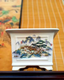 Ngắm bức tranh trên chậu nha ae