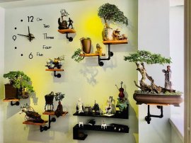 Không gian trong nhà tuyệt đẹp