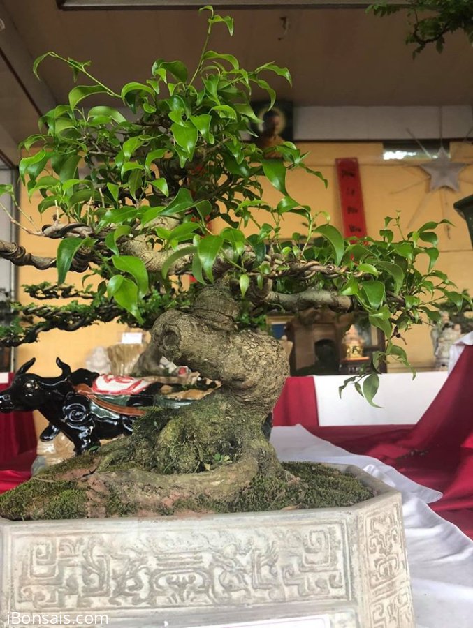 Sanh nam điền quái