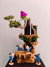 Tác phẩm Tỷ Muội Vân Kiều