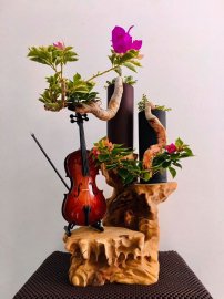 Tác phẩm Tỷ Muội Vân Kiều