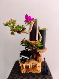 Tác phẩm Tỷ Muội Vân Kiều