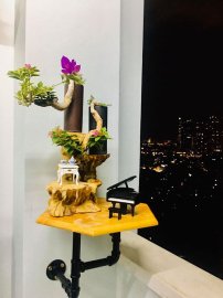 Tác phẩm Tỷ Muội Vân Kiều