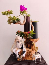 Tác phẩm Tỷ Muội Vân Kiều