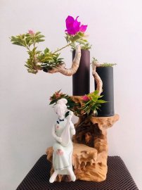 Tác phẩm Tỷ Muội Vân Kiều