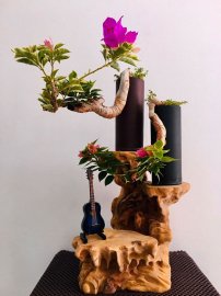 Tác phẩm Tỷ Muội Vân Kiều