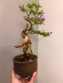 Cô bé này đỏng đảnh cứ hoa suốt