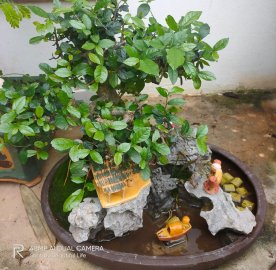 Mấy ngày nghỉ lễ dành cho mấy em