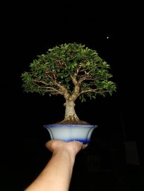 Gần 12h đêm còn chốt và chuyển khoản