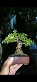 Gần 12h đêm còn chốt và chuyển khoản