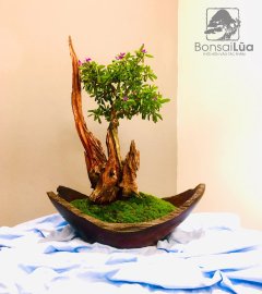 TP: CÁNH BUỒM TÌNH TRÊN DÒNG SÔNG HINH