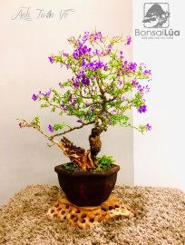 Kính tặng cô giáo tác phẩm bên dưới cô nhé