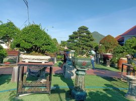 Ai ở Tuy Hòa chắc biết vườn này (Phần 2)