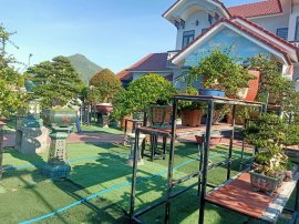Ai ở Tuy Hòa chắc biết vườn này (Phần 2)