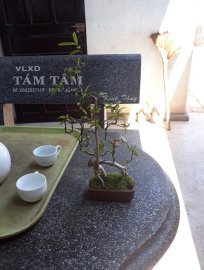 Em rất vui đã nhận được tác phẩm của anh Anh Tuấn Võ