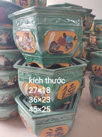 Lục giác chim chóc