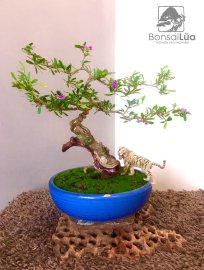 Hạnh phúc nó rất gần bên mình từ những câu từ giản dị chân chất vậy
