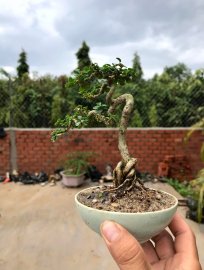 Ngày 1/5, 300k cho em am hương