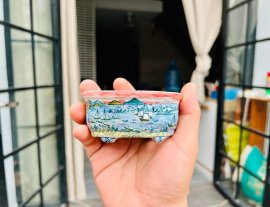 Chậu Vẽ Tosui
