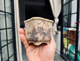 Chậu Bunzan Nhật Bản