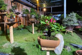 Không ai được đẹp hơn em trong đêm nay