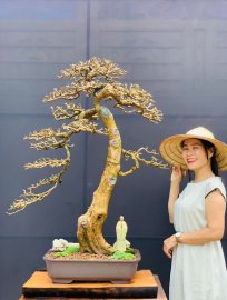 Tp Kim Tiền
