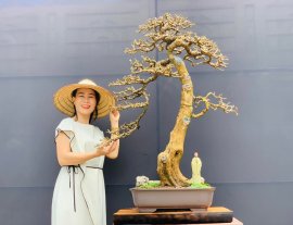 Tp Kim Tiền