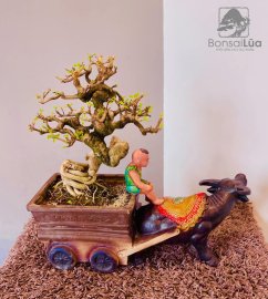Đẹp trời chở Thuỷ đi chơi
