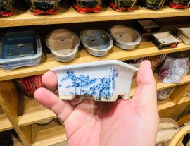 Giao Lưu Anh Em Chậu Maru Fuji