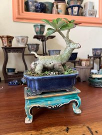 Tác phẩm sứ độc đáo