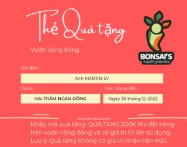 Tác phẩm sứ độc đáo