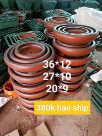 Chậu về với cây