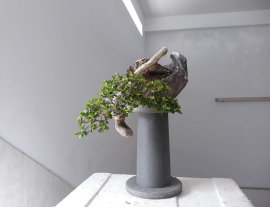 Em Sam Hương đổ treo nghệ thuật...