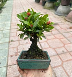 Quà đẹp tặng vợ_tặng người iu với nhiều ưu điểm bất ngờ đây