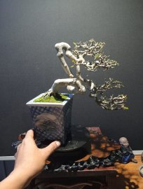 Mai chiếu thủy già và quái