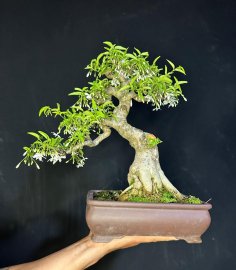 Đêm khuya lại muốn gl nhanh đồ nuôi