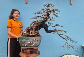 Phi lao chia sẻ anh em !